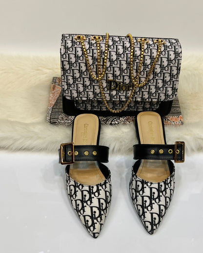 Dior Pumps & Bag Combo Set